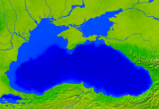 Black Sea Vegetation 800x549